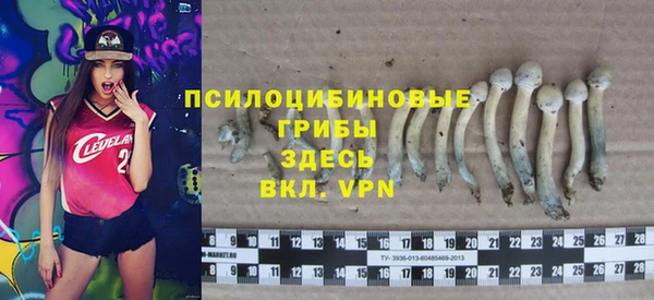каннабис Сосновка