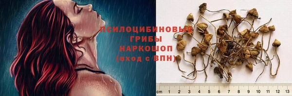 герыч Сосновоборск