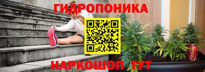крисы Азнакаево