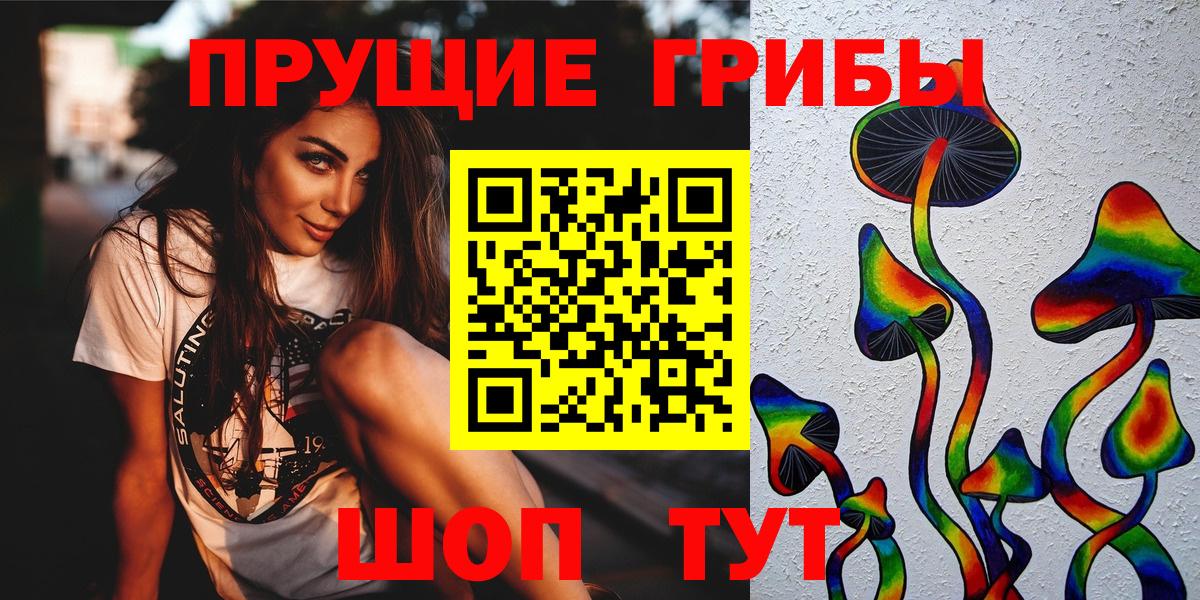 Галлюциногенные грибы Psilocybine cubensis Усть-Лабинск