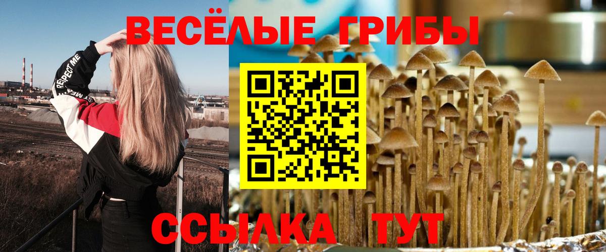 Галлюциногенные грибы ЛСД  Псилоцибиновые грибы мухоморы  сколько стоит  Усть-Лабинск  Вход с VPN 