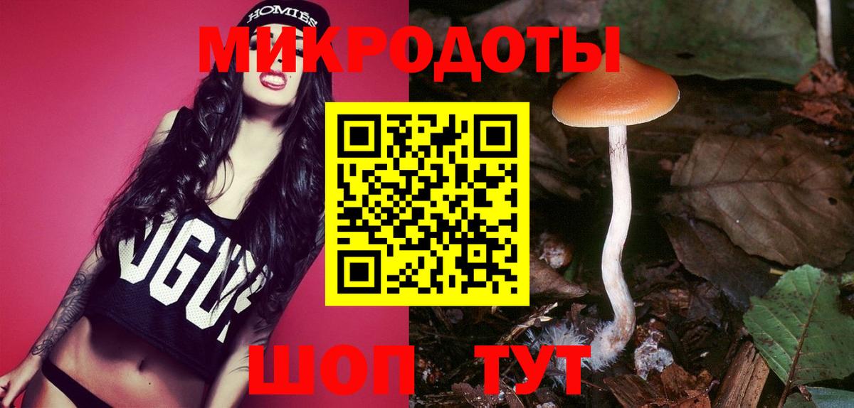 Псилоцибиновые грибы Psilocybine cubensis Усть-Лабинск