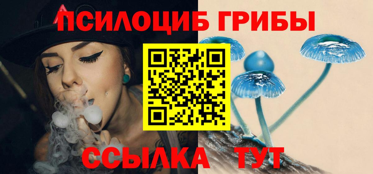 Усть-Лабинск  Псилоцибиновые грибы Cubensis  продажа наркотиков  Галлюциногенные грибы Psilocybine cubensis  Вход с VPN 